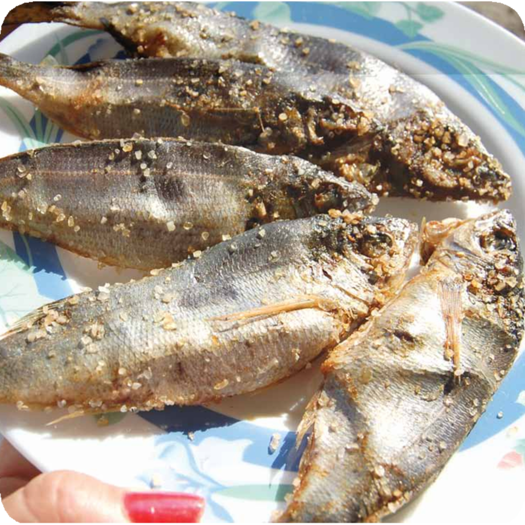 Μέλωνες παστοί
