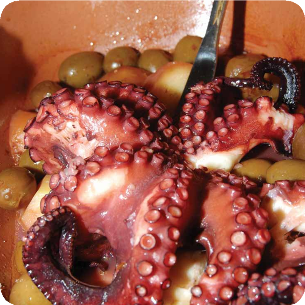 Χταπόδι με ελιές Νέων Μουδανιών