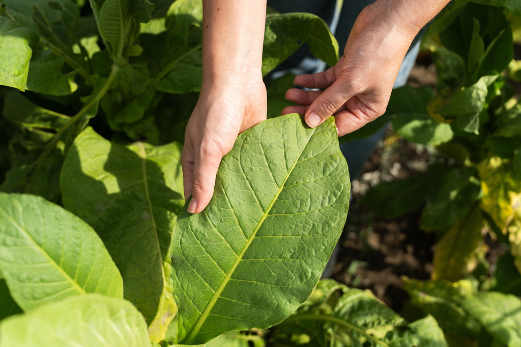 Στα αγιασμένα βήματα Φωτογραφία 4