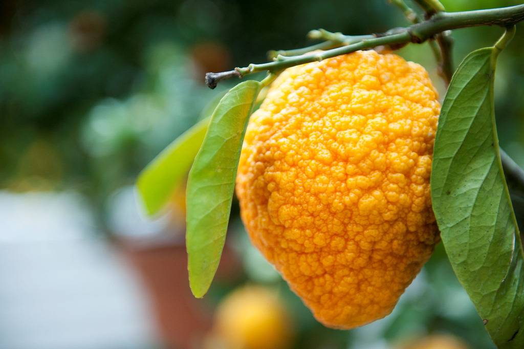 Όλος ο κόσμος θάλασσα Φωτογραφία 1