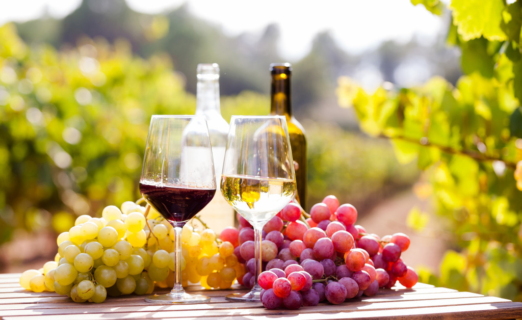 Με τον ήλιο αγκαλιά Φωτογραφία 2