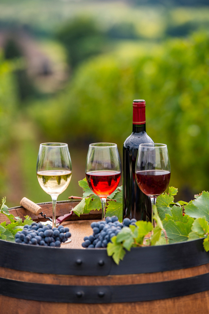 Περνάς κι ανθούνε τα κλαδιά Φωτογραφία 1