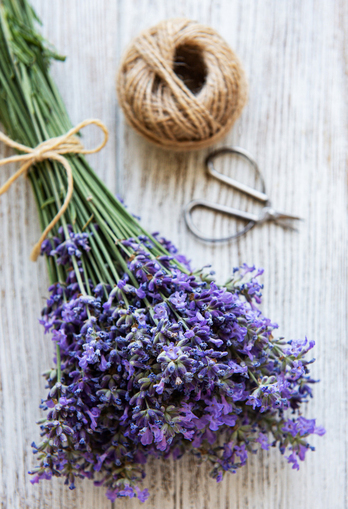 Πήρα τον δρόμο τον καλό Φωτογραφία 2