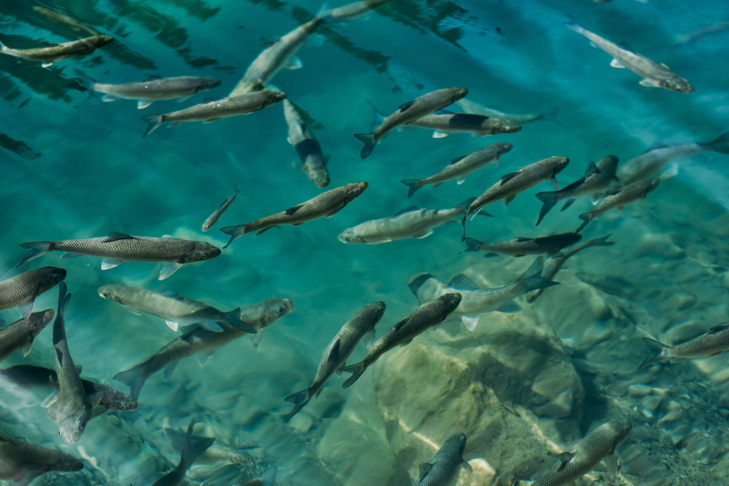 Η ματιά που ταξιδεύει Φωτογραφία 2