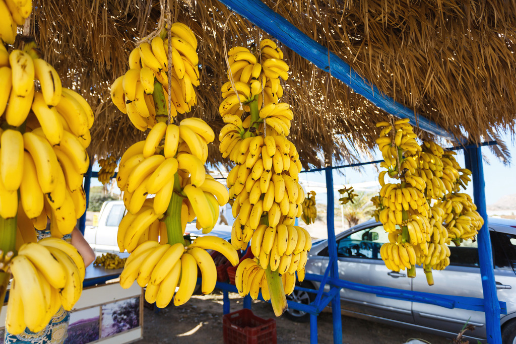 Από τη Βιάννο λάδι Φωτογραφία 2