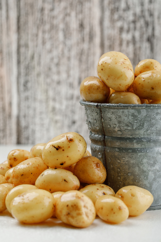 Όλος ο κόσμος θάλασσα Φωτογραφία 4