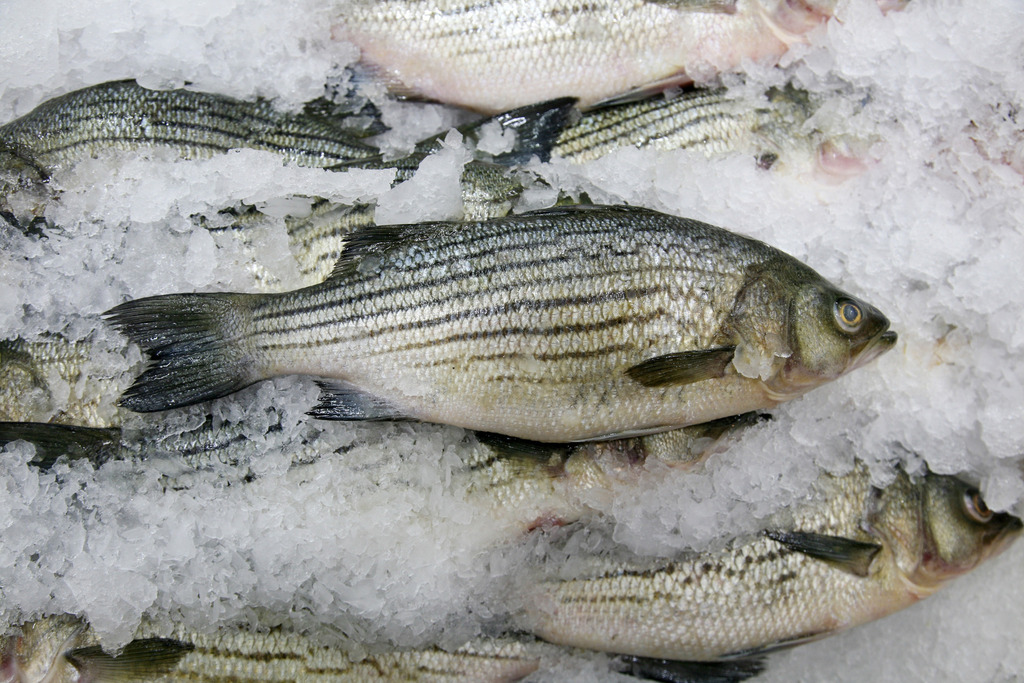 Με τον ήλιο αγκαλιά Φωτογραφία 3