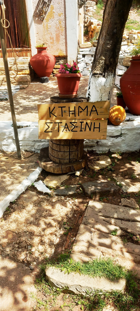 Γνωρίζοντας τα εμβληματικά προϊόντα γεωγραφικής ένδειξης «ΣΑΜΟΣ» - Φωτογραφία 4