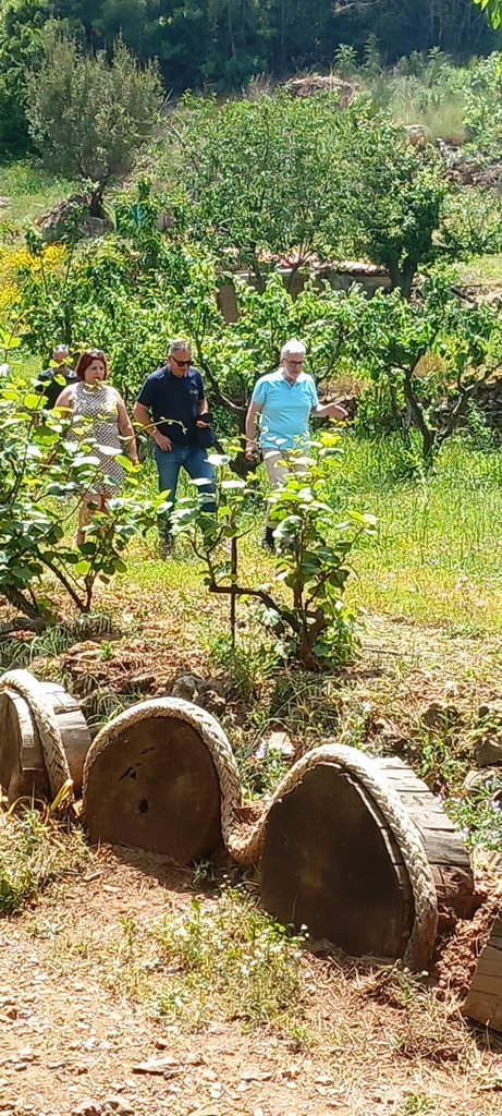 Γνωρίζοντας τα εμβληματικά προϊόντα γεωγραφικής ένδειξης «ΣΑΜΟΣ» - Φωτογραφία 8