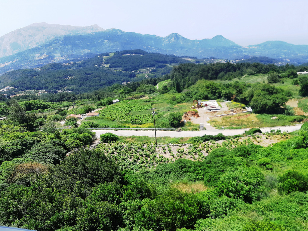 Γνωρίζοντας τα εμβληματικά προϊόντα γεωγραφικής ένδειξης «ΣΑΜΟΣ» - Φωτογραφία 17