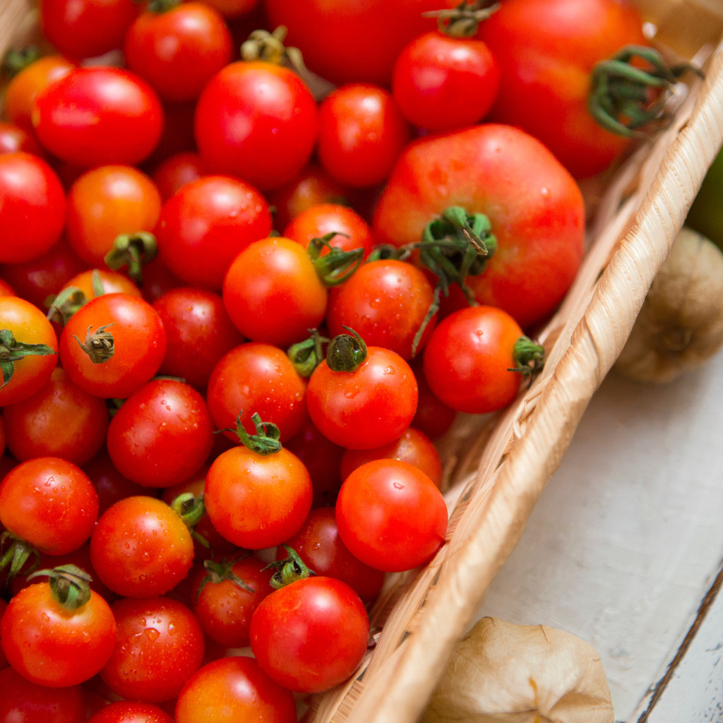 Άσπρα σκαλιά Φωτογραφία 7