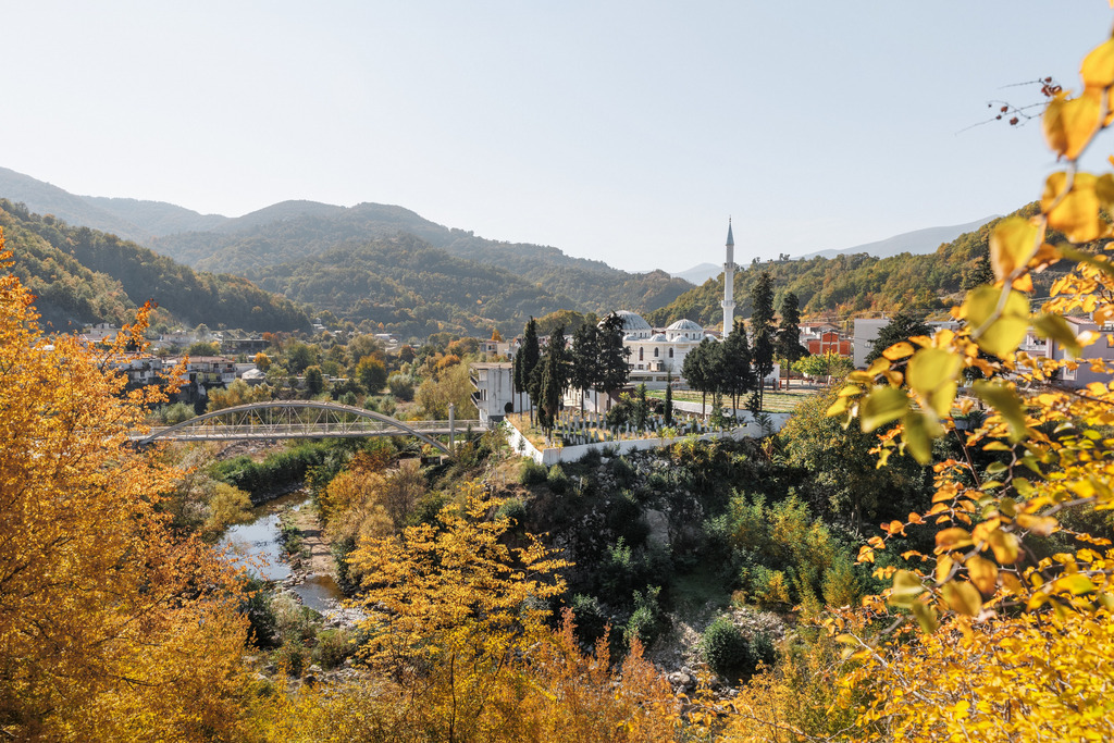 Στις φυλλωσιές σου να χαθώ
