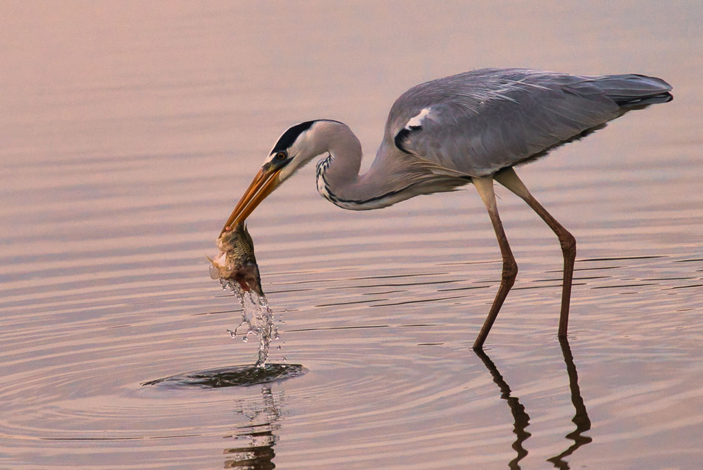 Ένα τραγούδι δρόμος